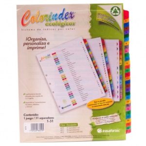 SEPARADOR 1-31 DIV COLORINDEX IN-6210 IRASA