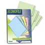 FOLDER ECONOFILE T.OFICIO 1/2 CEJA VERDE FE-1405 IRASA
